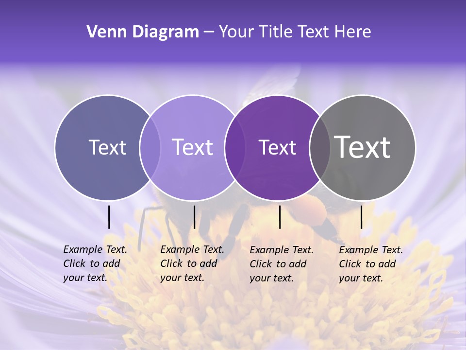 Botany Honey Colorful PowerPoint Template