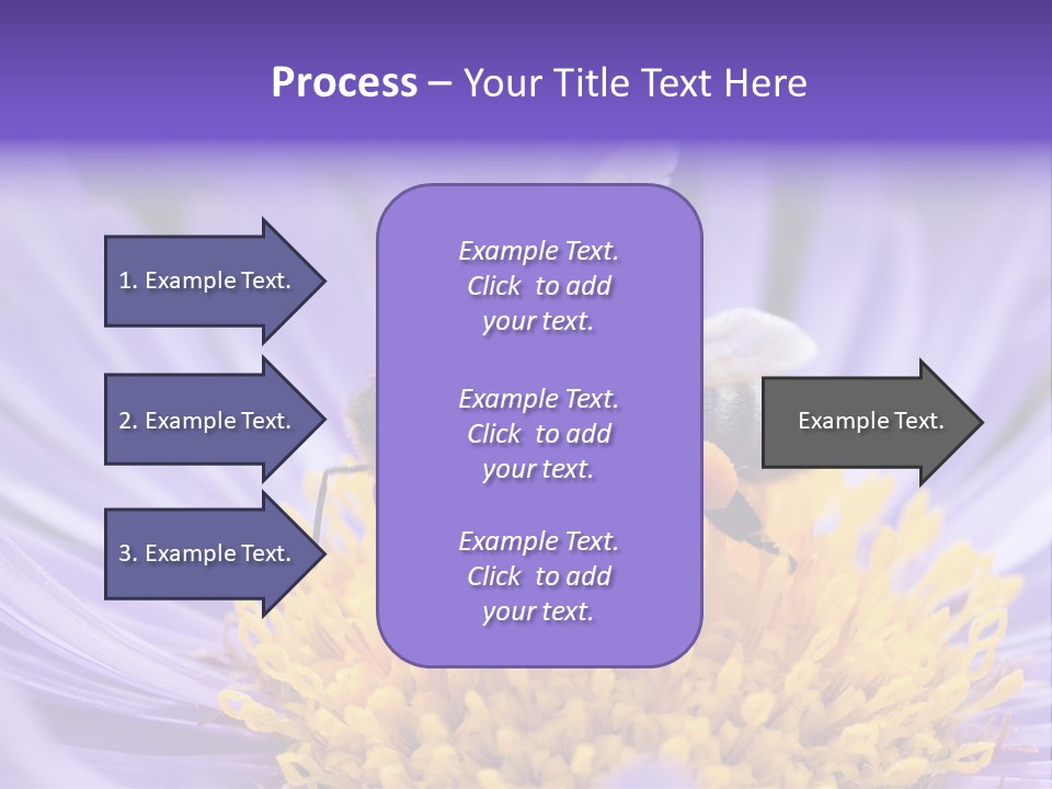 Botany Honey Colorful PowerPoint Template