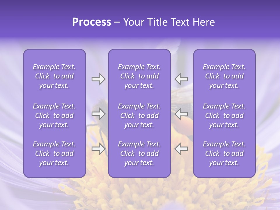 Botany Honey Colorful PowerPoint Template