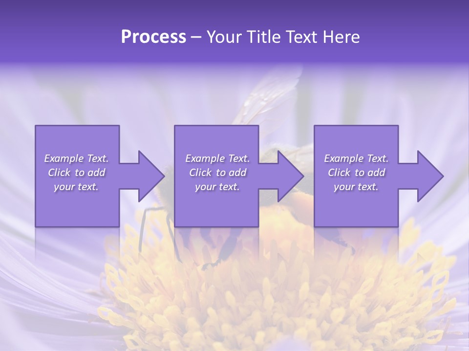 Botany Honey Colorful PowerPoint Template