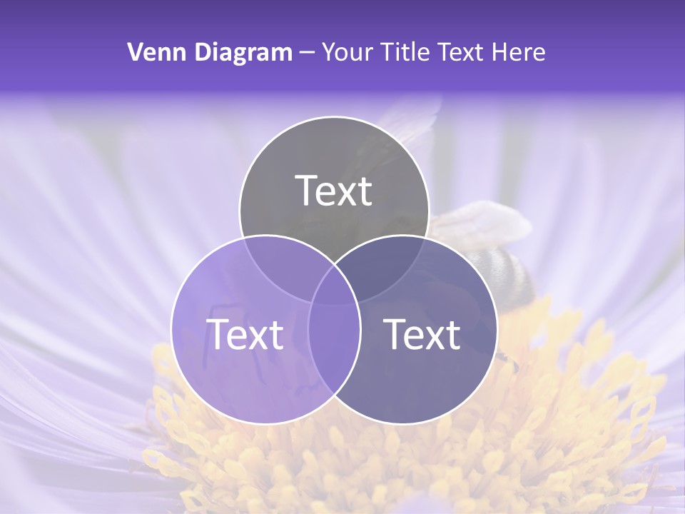 Botany Honey Colorful PowerPoint Template
