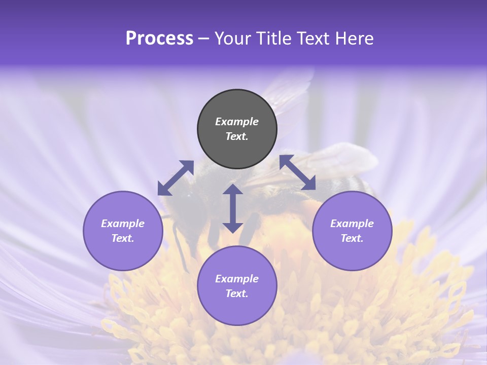 Botany Honey Colorful PowerPoint Template