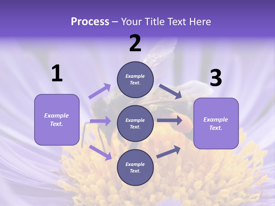 Botany Honey Colorful PowerPoint Template