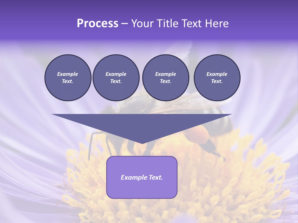 Botany Honey Colorful PowerPoint Template