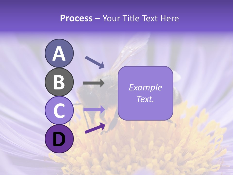 Botany Honey Colorful PowerPoint Template