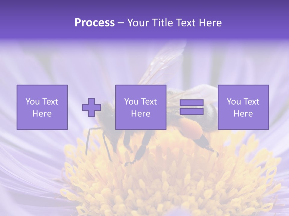 Botany Honey Colorful PowerPoint Template