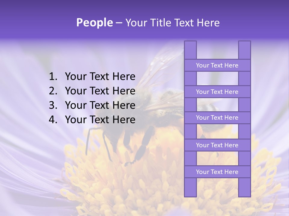 Botany Honey Colorful PowerPoint Template