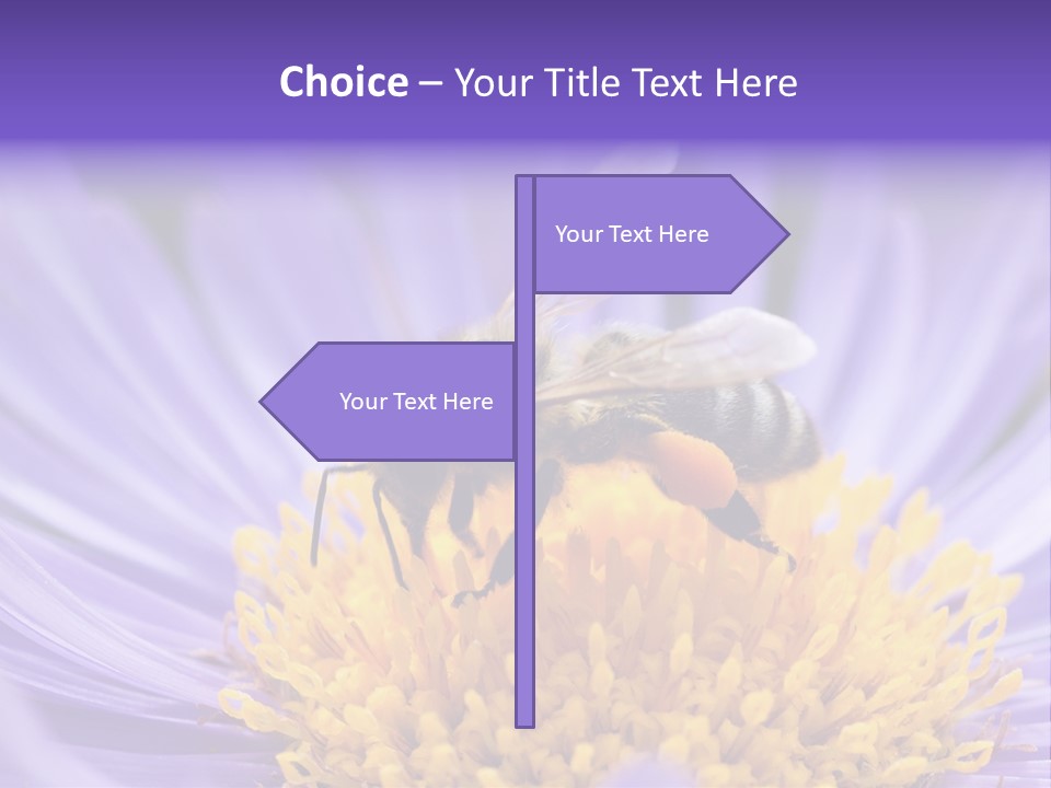 Botany Honey Colorful PowerPoint Template