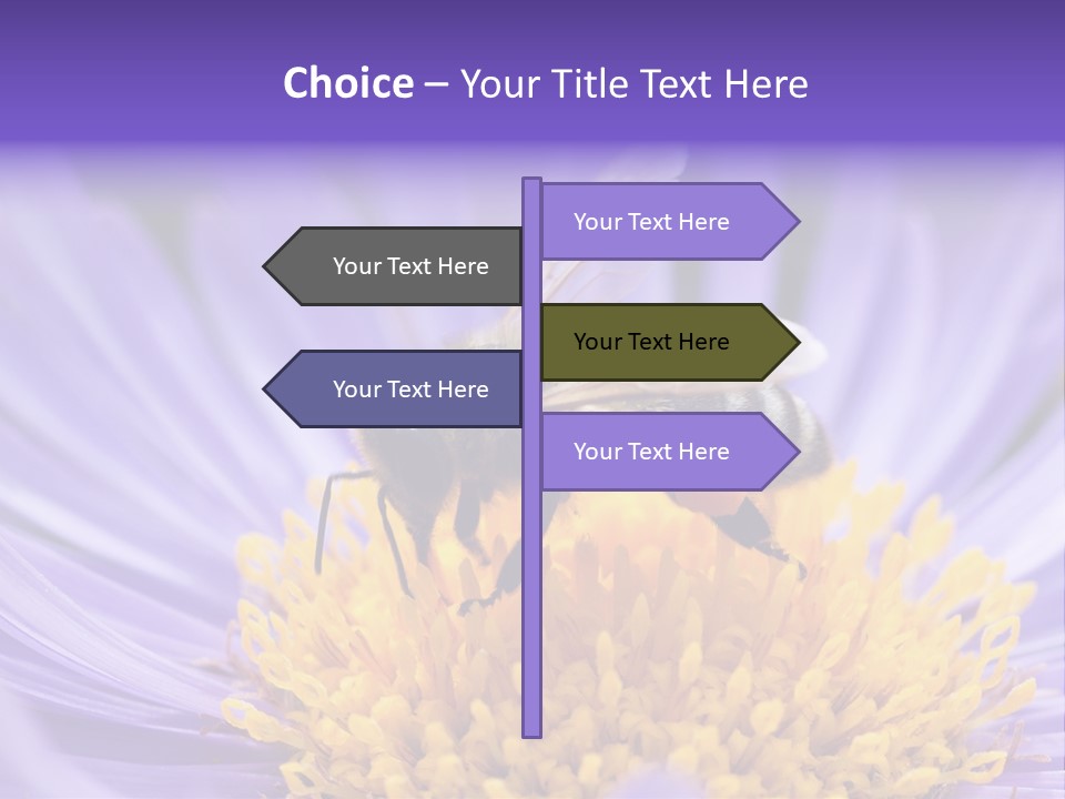 Botany Honey Colorful PowerPoint Template