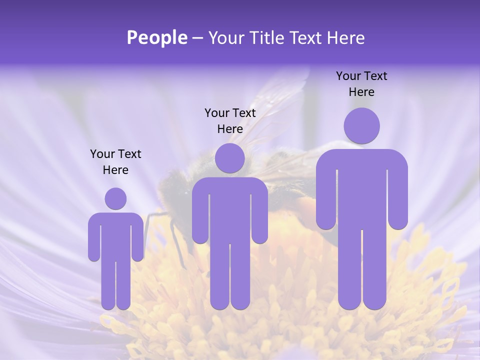 Botany Honey Colorful PowerPoint Template