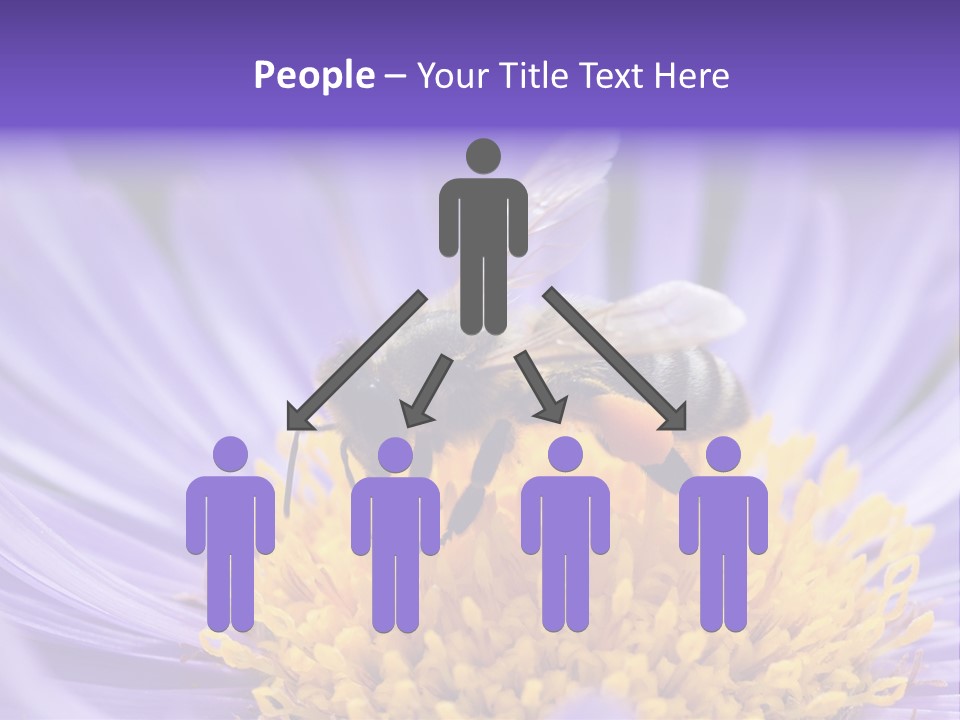 Botany Honey Colorful PowerPoint Template