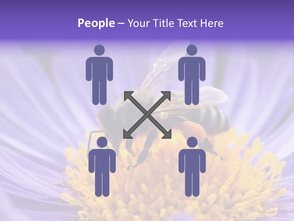 Botany Honey Colorful PowerPoint Template