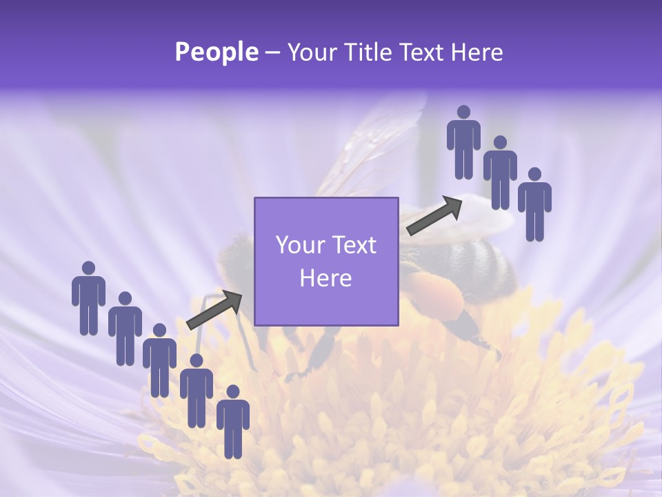 Botany Honey Colorful PowerPoint Template