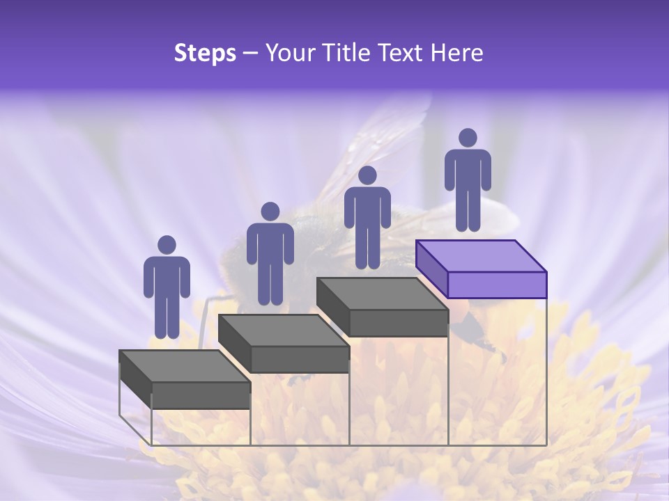 Botany Honey Colorful PowerPoint Template