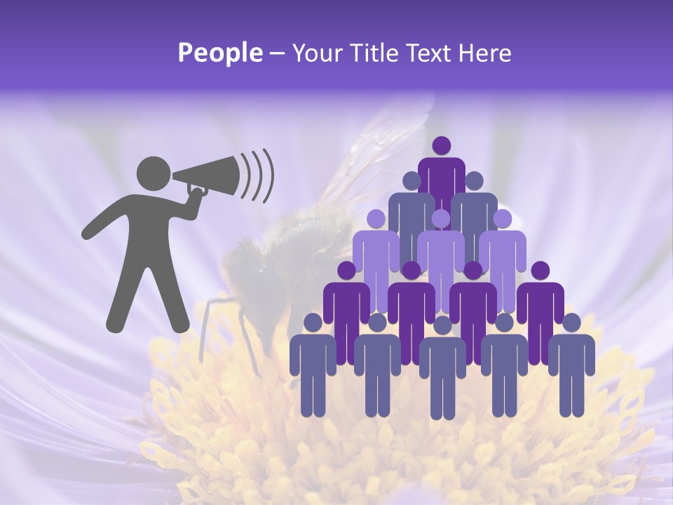 Botany Honey Colorful PowerPoint Template