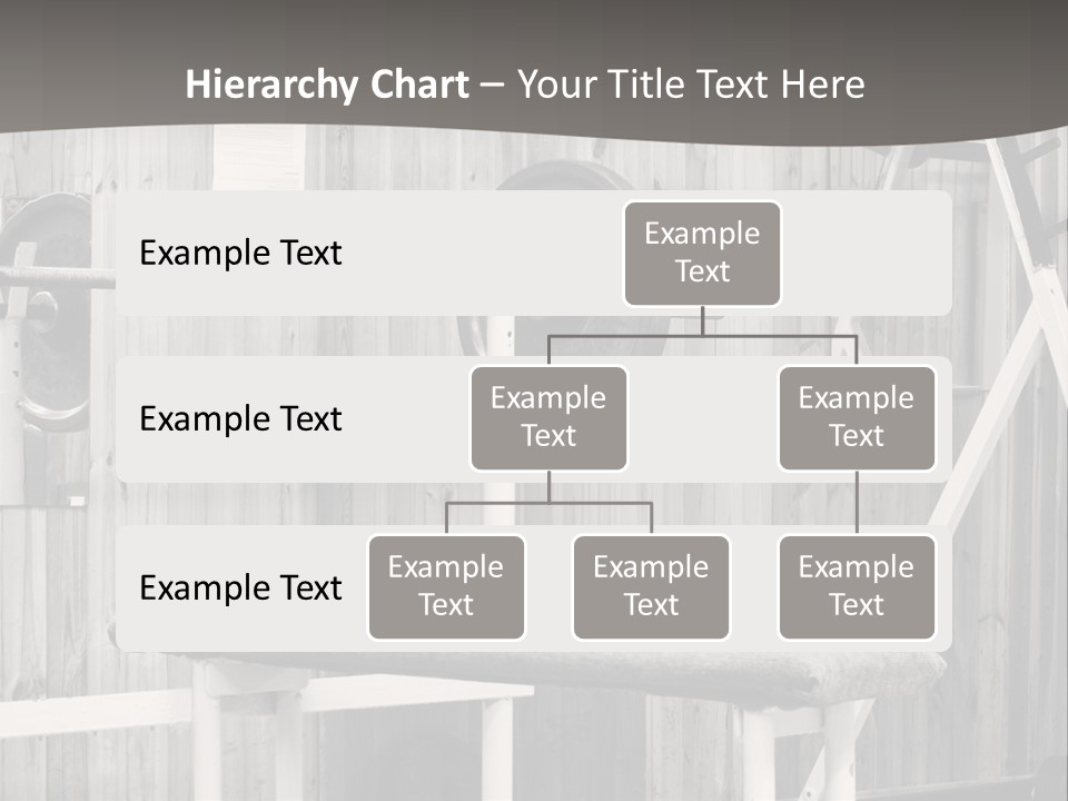Weight Club Bodybuilding PowerPoint Template