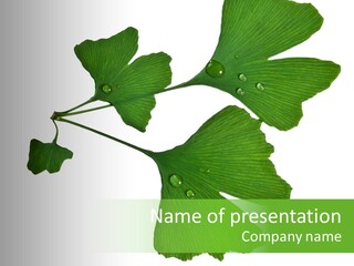 Lawn Isolated Seasoning PowerPoint Template