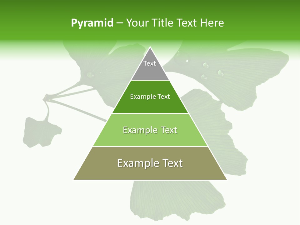 Lawn Isolated Seasoning PowerPoint Template