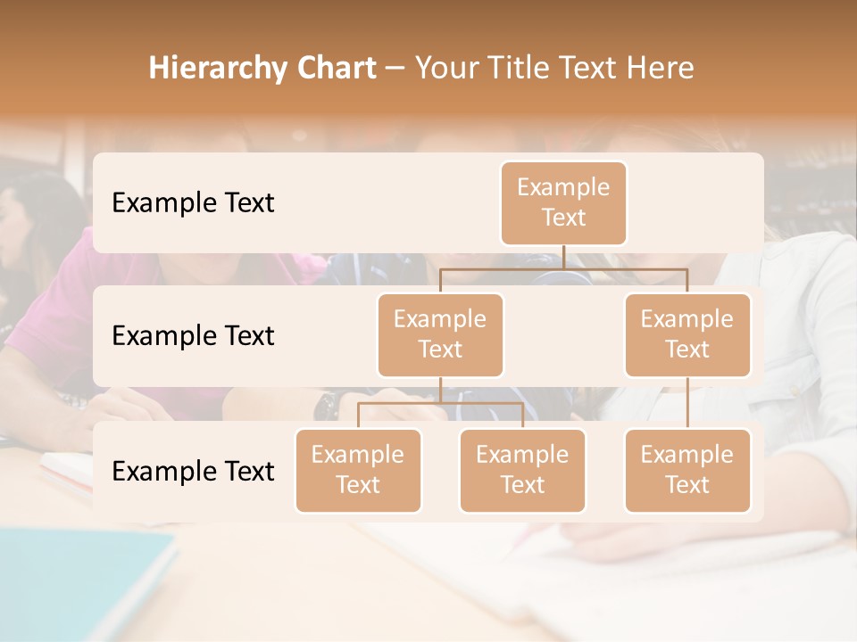 Study Education Latin PowerPoint Template