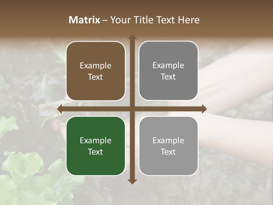 Leisure Woman Picking PowerPoint Template