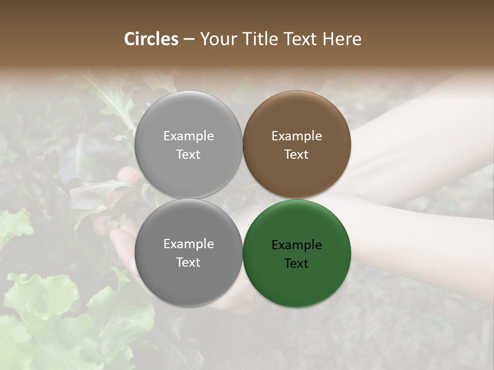 Leisure Woman Picking PowerPoint Template