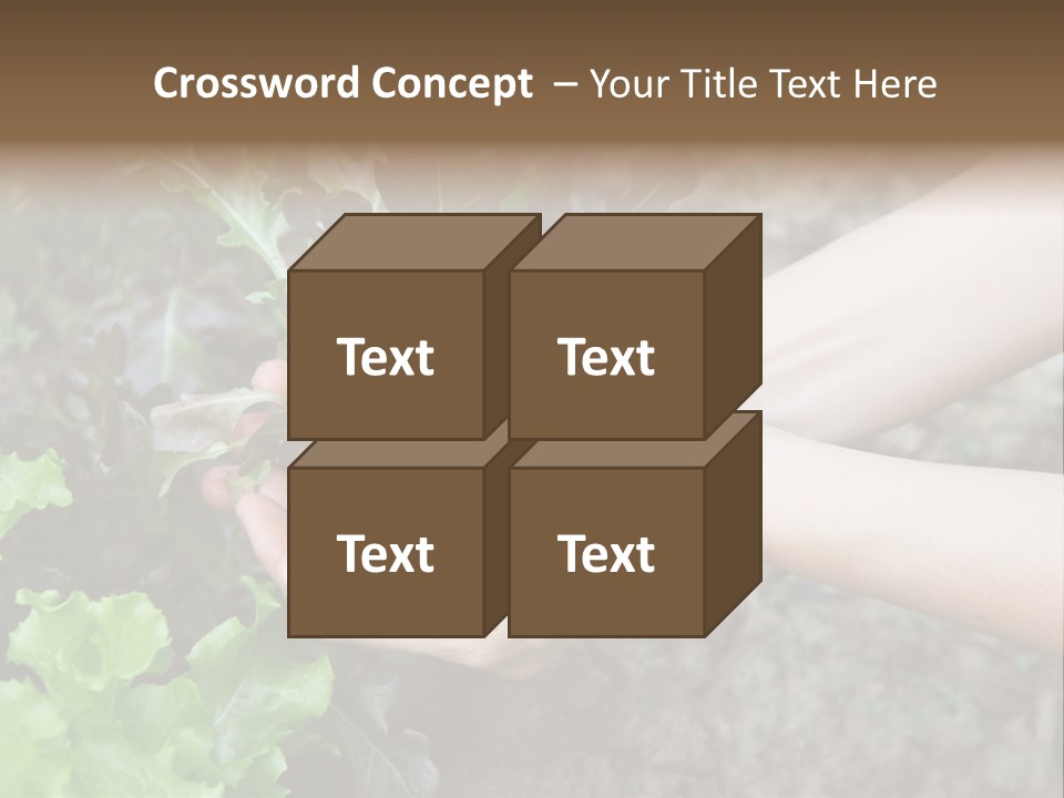 Leisure Woman Picking PowerPoint Template