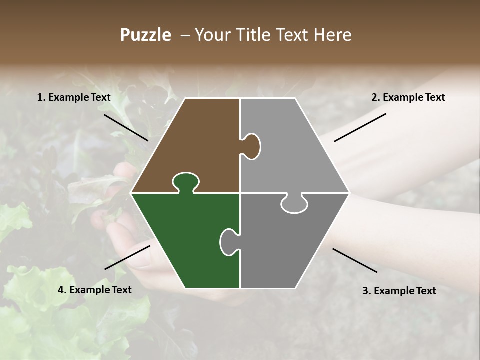 Leisure Woman Picking PowerPoint Template