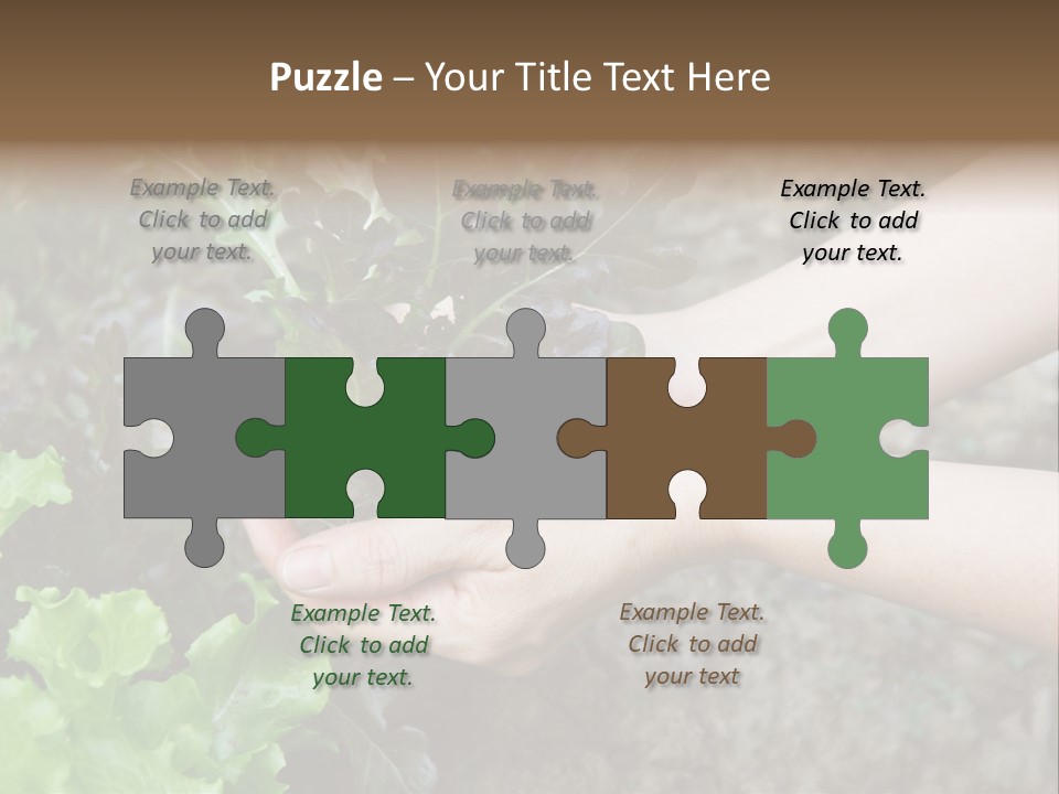 Leisure Woman Picking PowerPoint Template