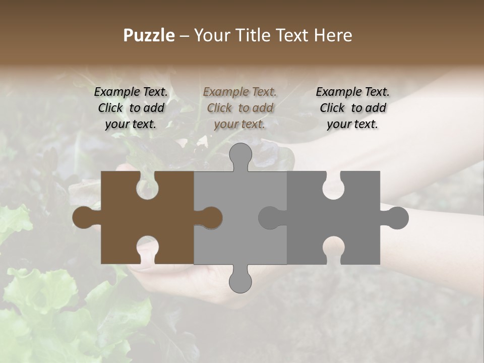 Leisure Woman Picking PowerPoint Template