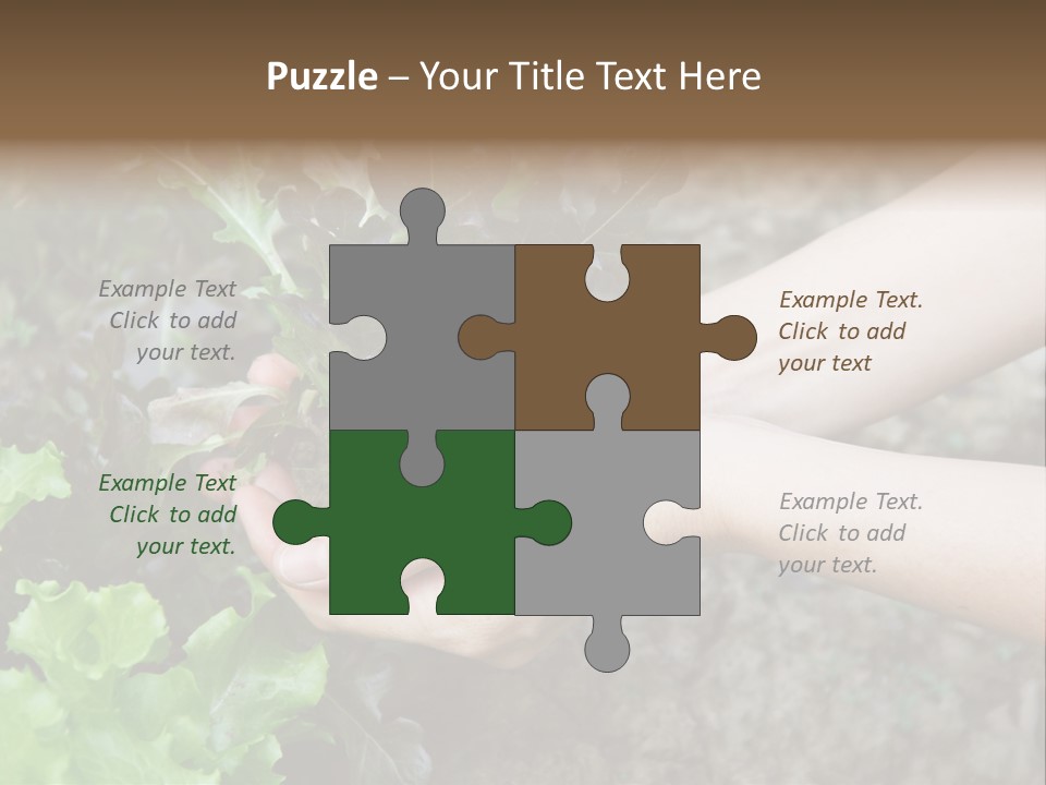 Leisure Woman Picking PowerPoint Template