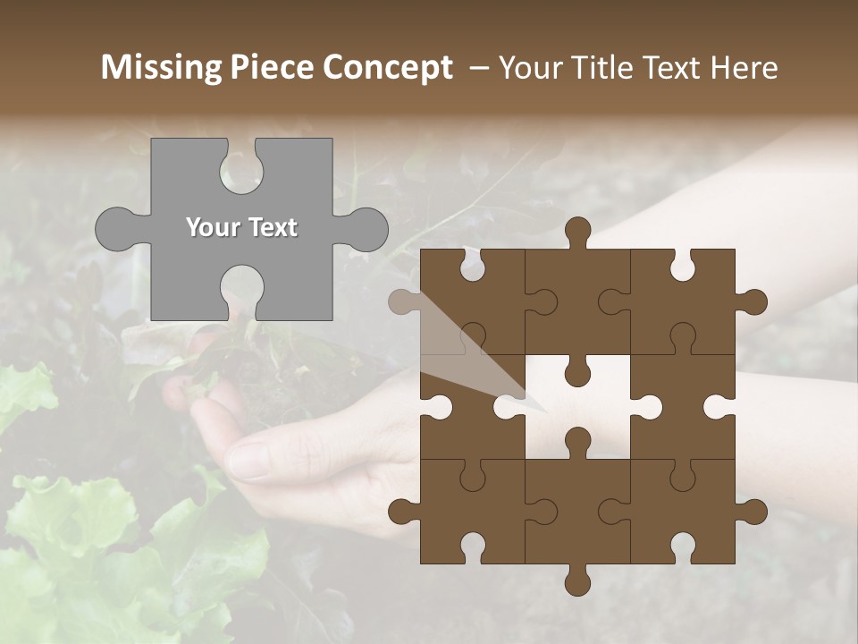 Leisure Woman Picking PowerPoint Template