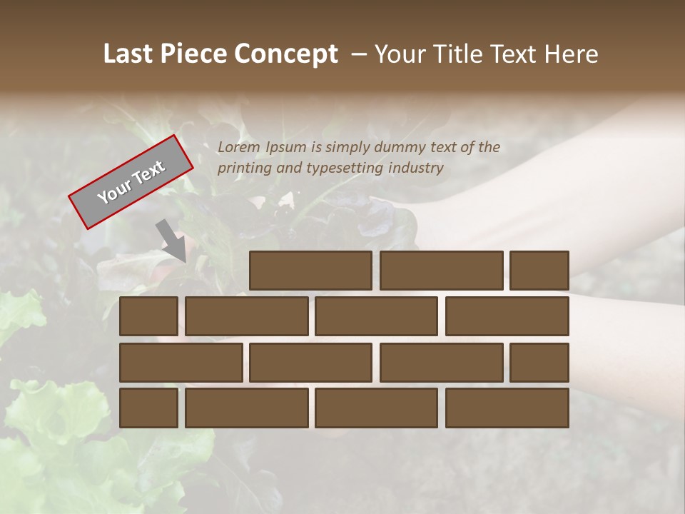 Leisure Woman Picking PowerPoint Template