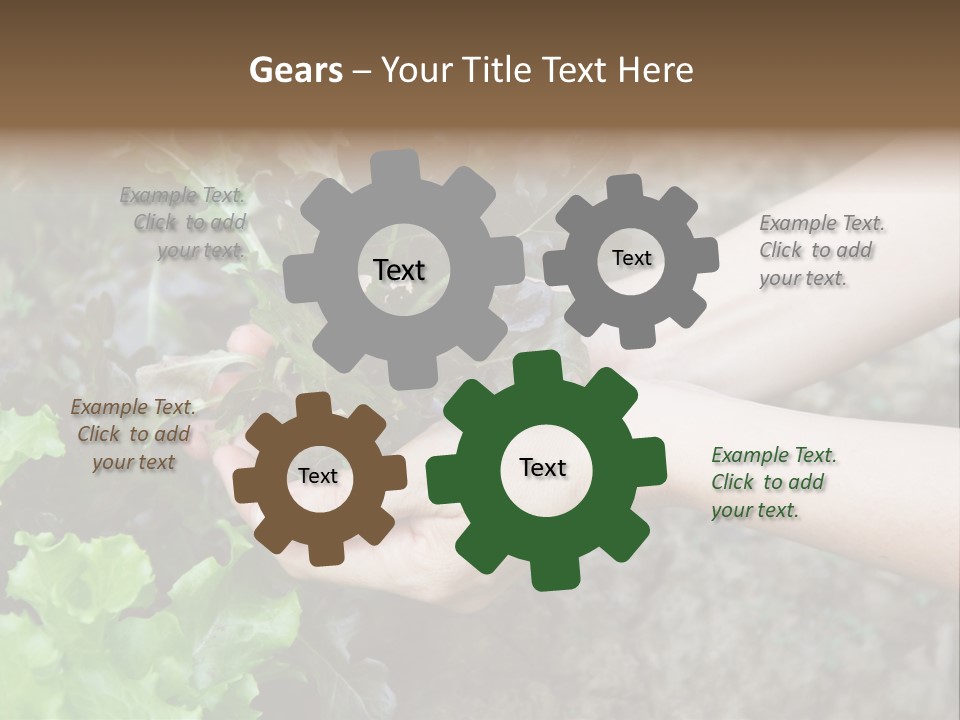 Leisure Woman Picking PowerPoint Template