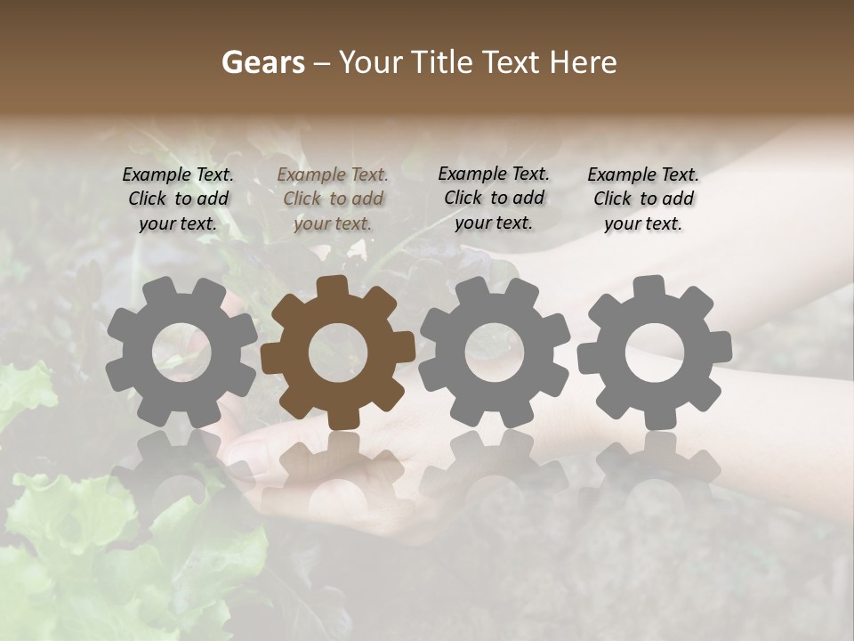 Leisure Woman Picking PowerPoint Template