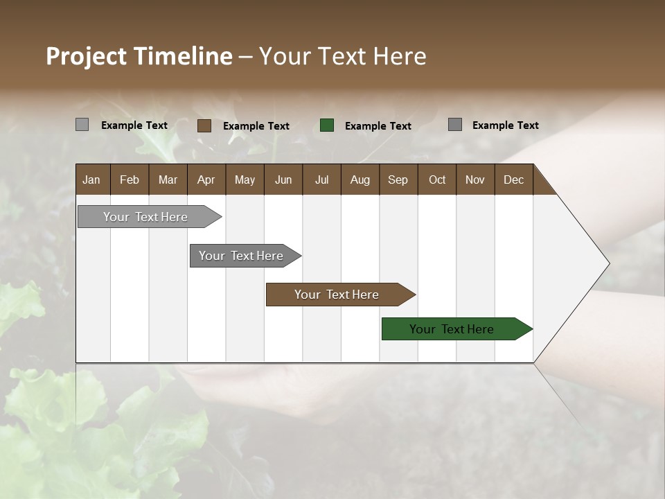 Leisure Woman Picking PowerPoint Template