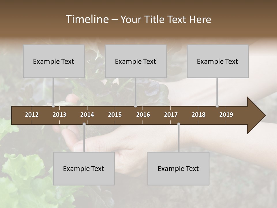 Leisure Woman Picking PowerPoint Template