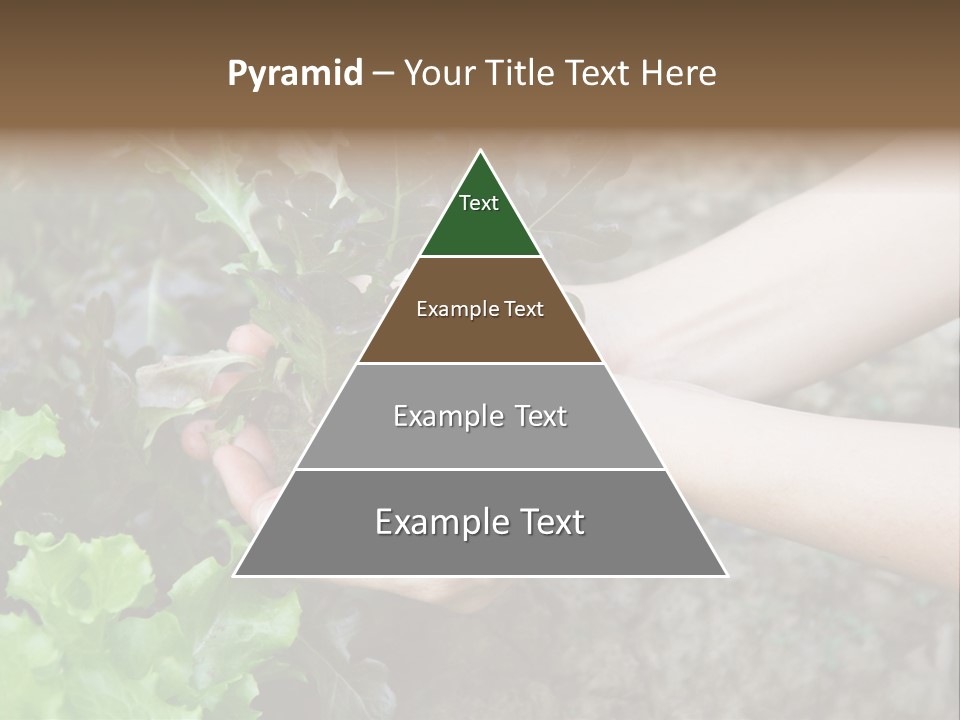 Leisure Woman Picking PowerPoint Template