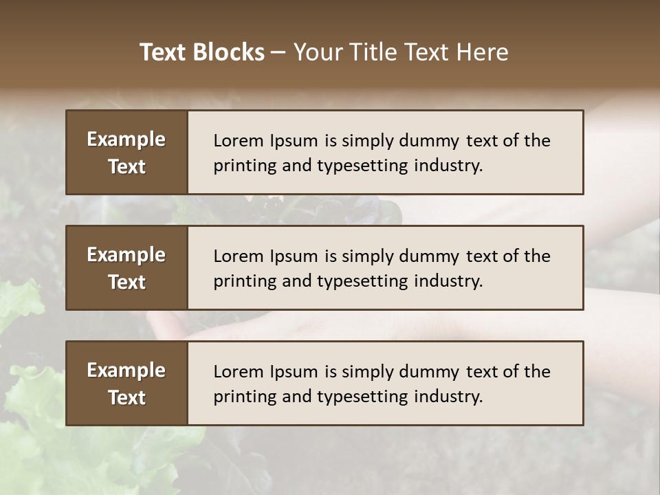 Leisure Woman Picking PowerPoint Template