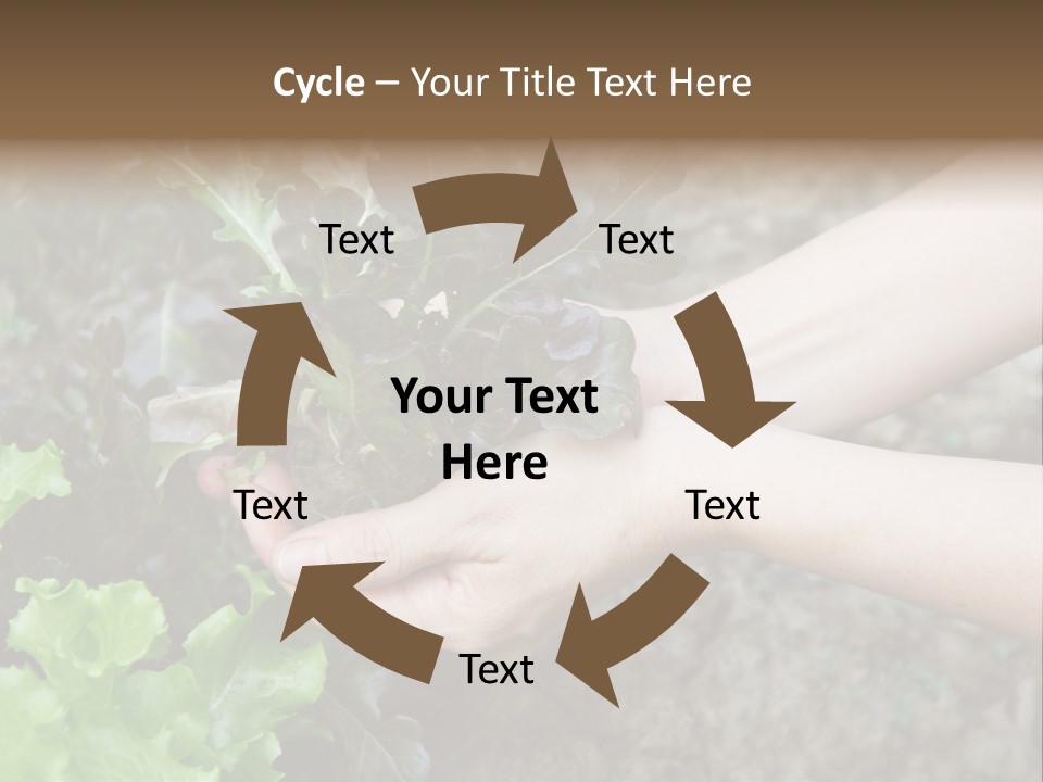 Leisure Woman Picking PowerPoint Template