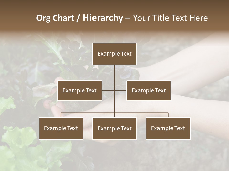 Leisure Woman Picking PowerPoint Template