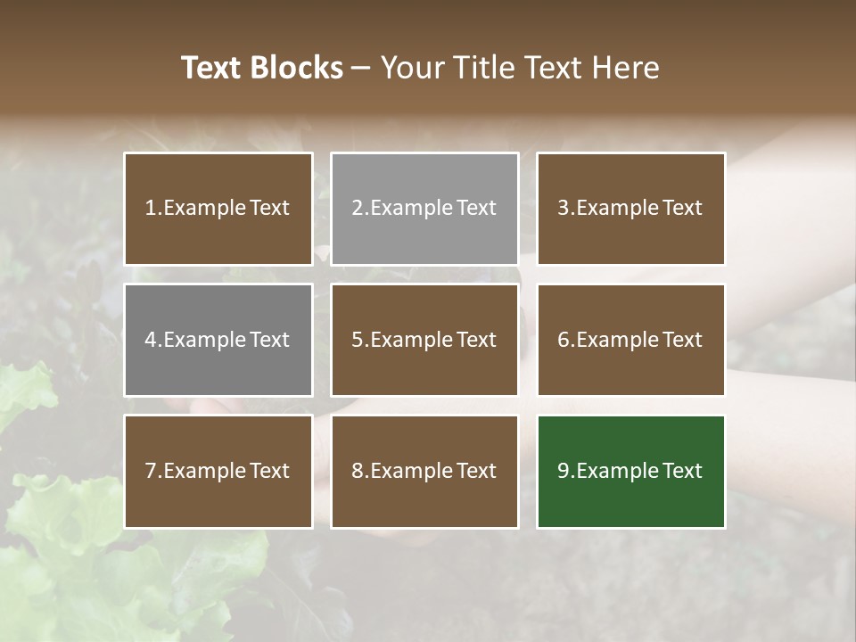 Leisure Woman Picking PowerPoint Template