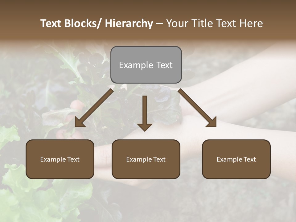 Leisure Woman Picking PowerPoint Template