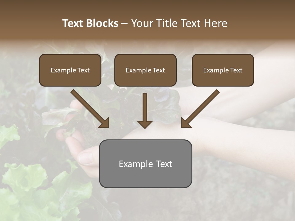 Leisure Woman Picking PowerPoint Template