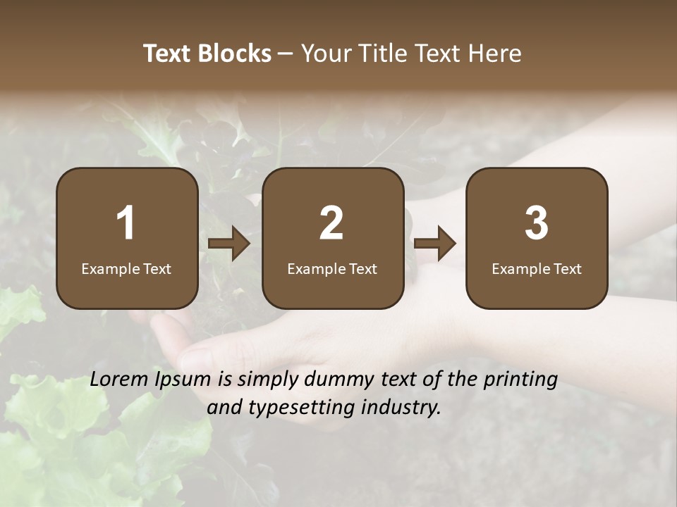 Leisure Woman Picking PowerPoint Template