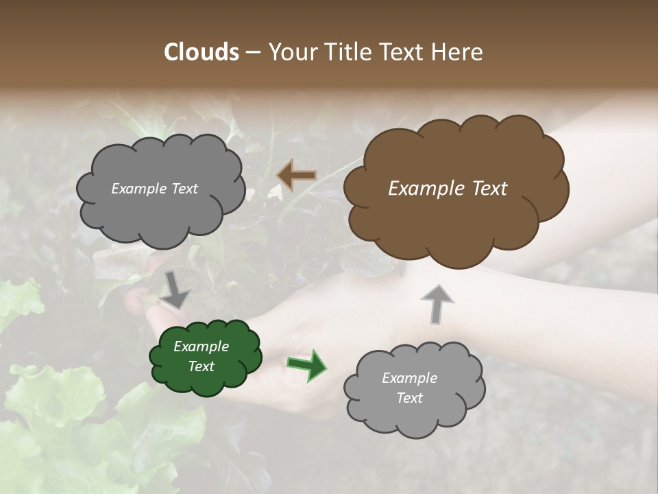 Leisure Woman Picking PowerPoint Template