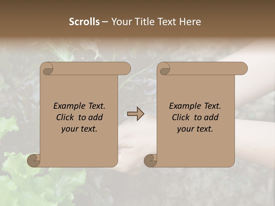 Leisure Woman Picking PowerPoint Template