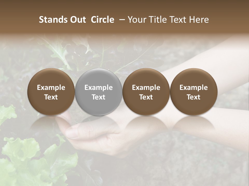 Leisure Woman Picking PowerPoint Template