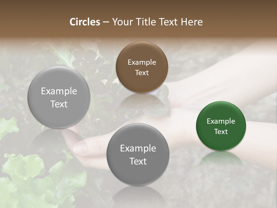 Leisure Woman Picking PowerPoint Template