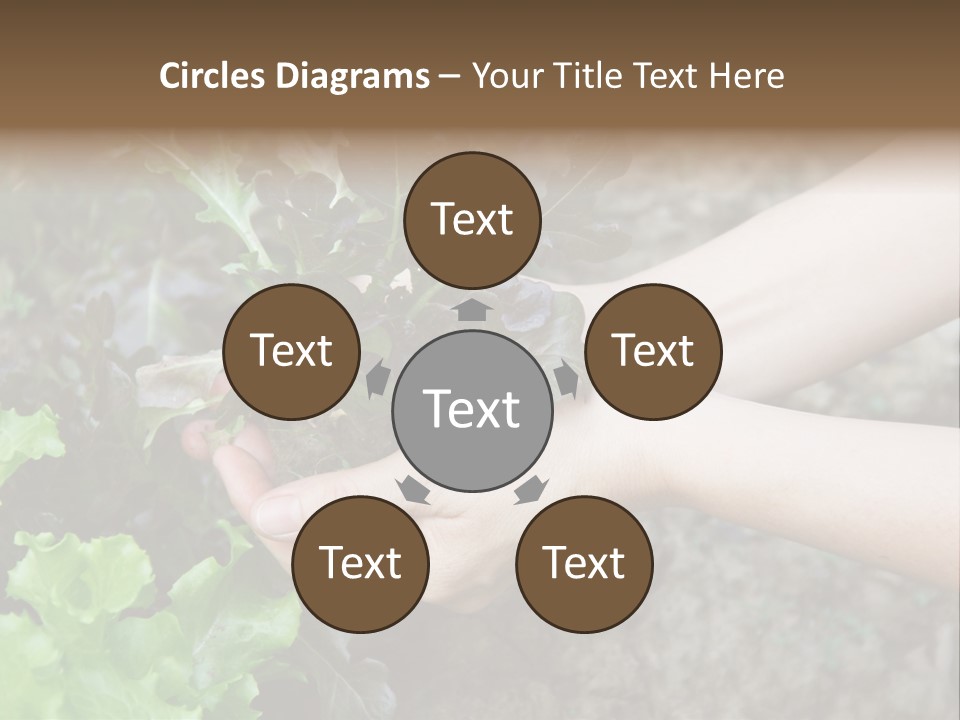 Leisure Woman Picking PowerPoint Template