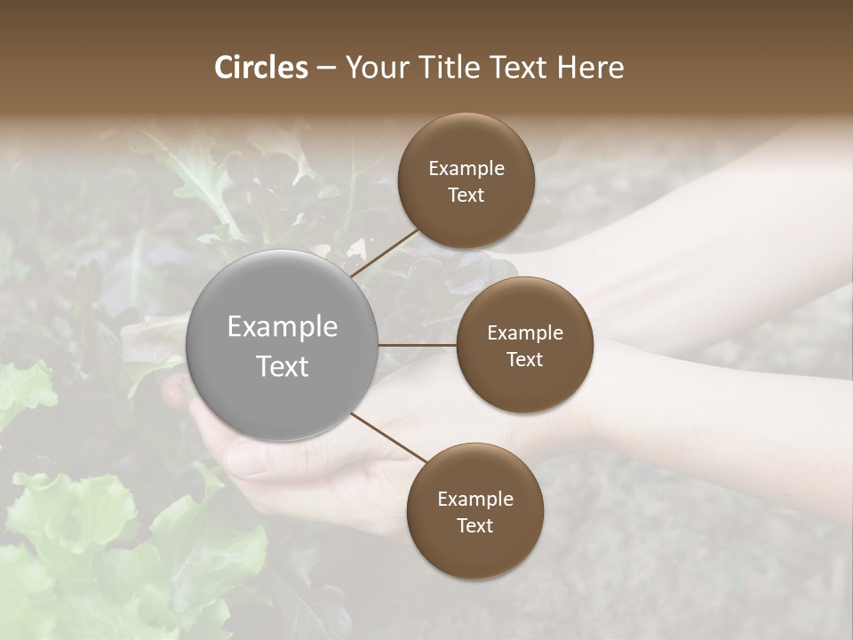 Leisure Woman Picking PowerPoint Template